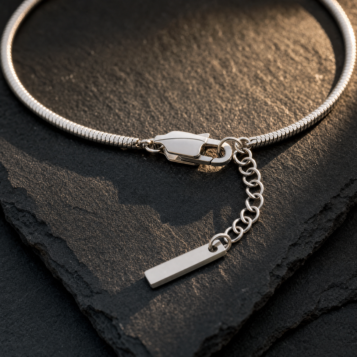 Fractured Serpentine Bracelet – men's silver-tone bracelet with clasp, extension chain and tag